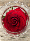 Classic Red Rose Bowl