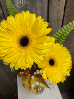 Gleeful Gerberas